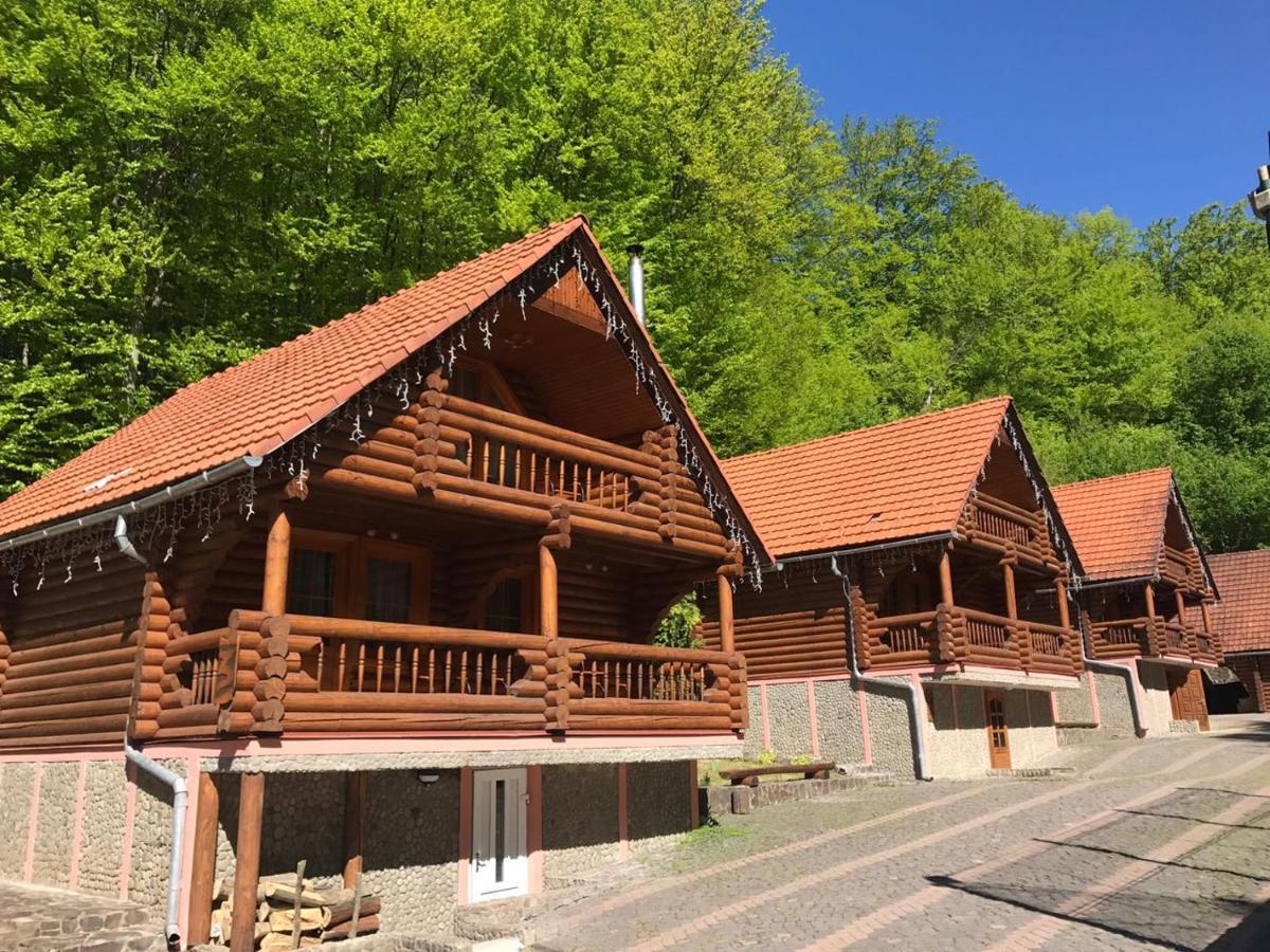 Hotel Toursit Complex Polyana Kvasova Exterior foto